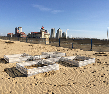  مشروع حواجز ومربعات ثتبيت الرمال للشاطئ الذهبي Shangdong